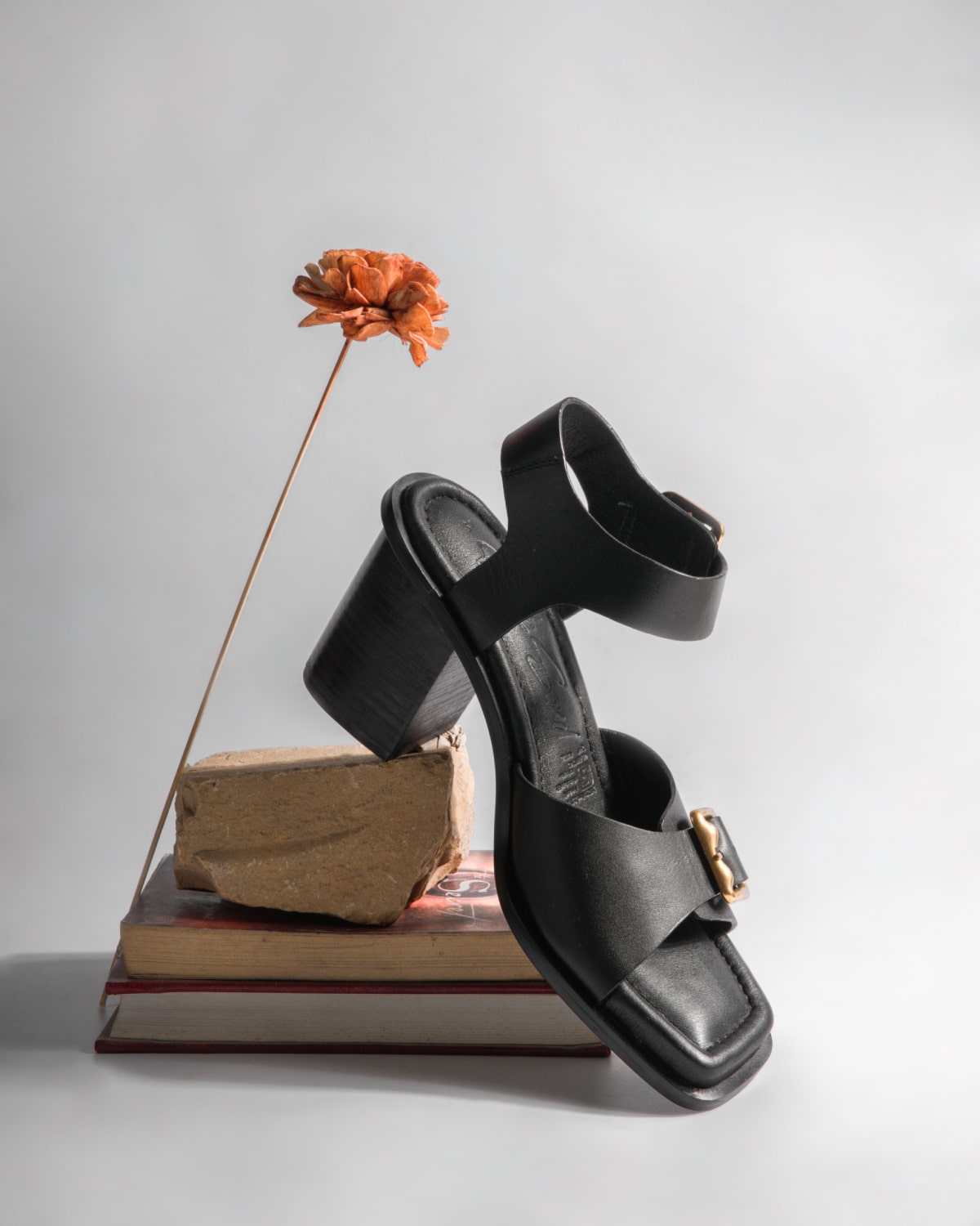 Nova – Philana Sandals, Black — 08 styled